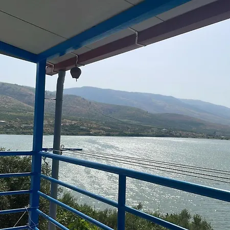 5 Murzi